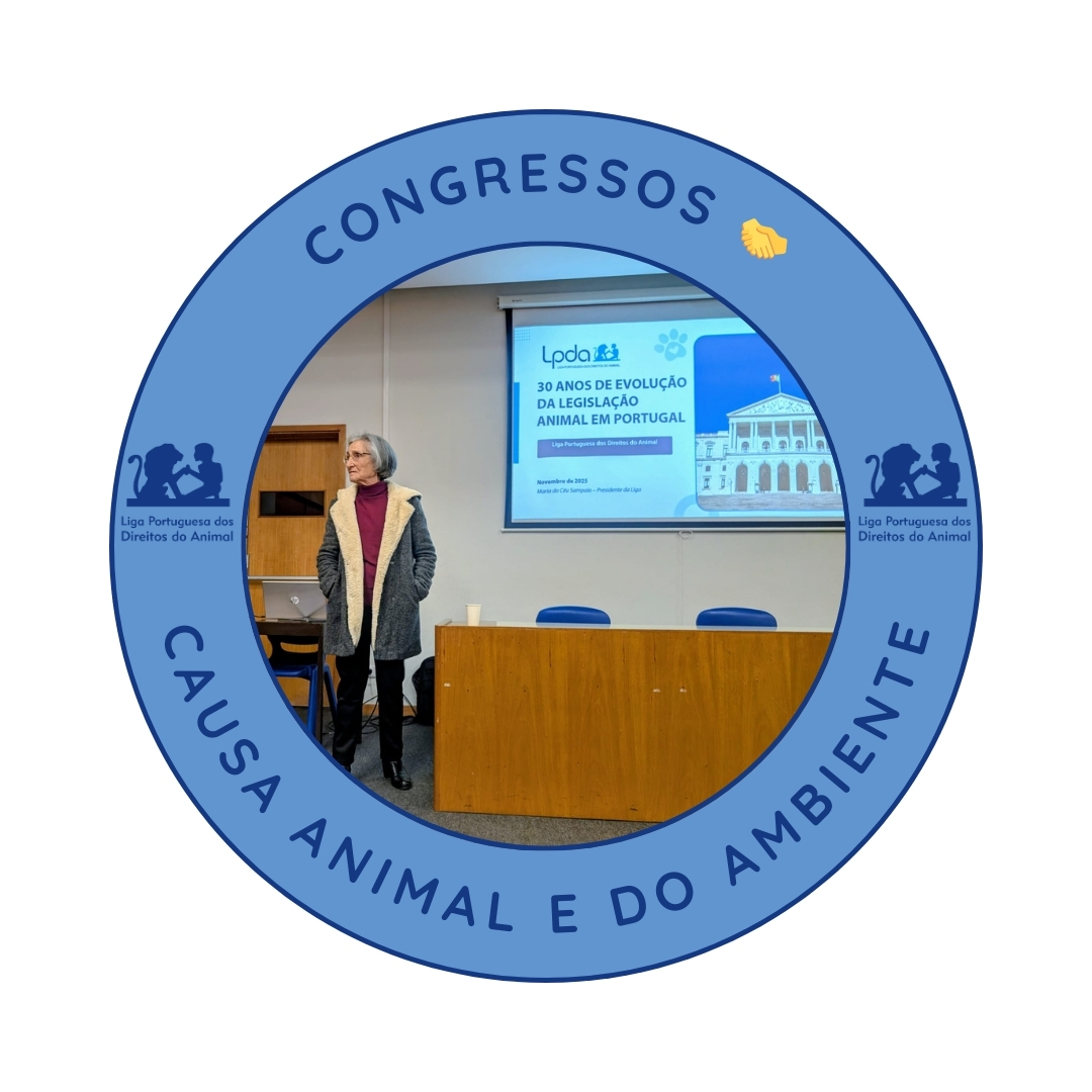 Congressos